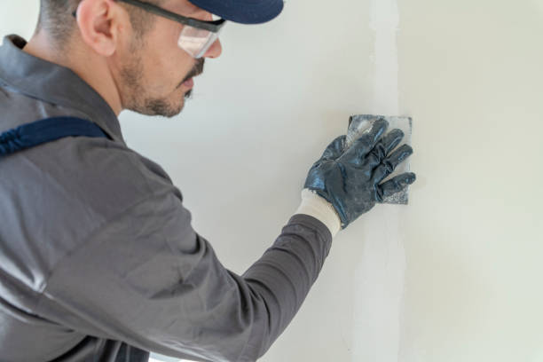 Best Commercial Mold Inspection  in West Fairview, PA