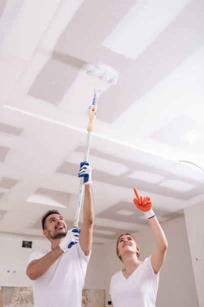 Best Basement Mold Removal  in West Fairview, PA